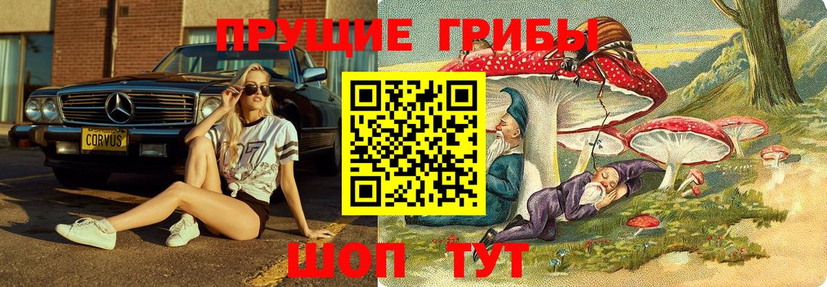 Галлюциногенные грибы мухоморы  Вход с VPN  Беслан 