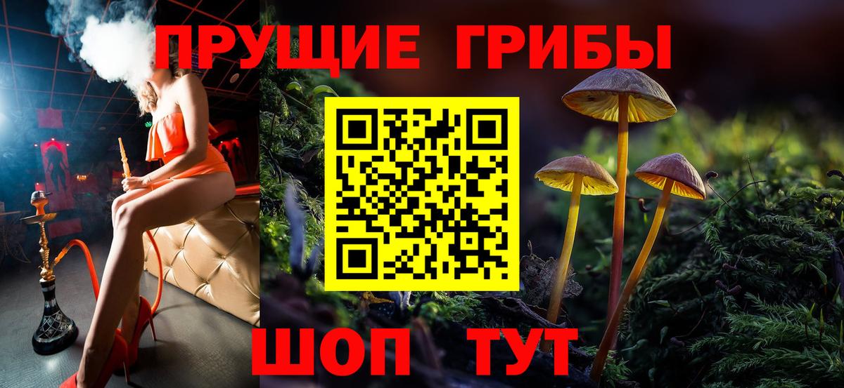 Псилоцибиновые грибы прущие грибы Беслан